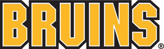 Boston Bruins 1995-2007 Wordmark Logo iron on transfers for T-shirts...